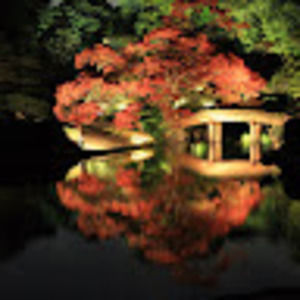 Meet your Posher, Camille